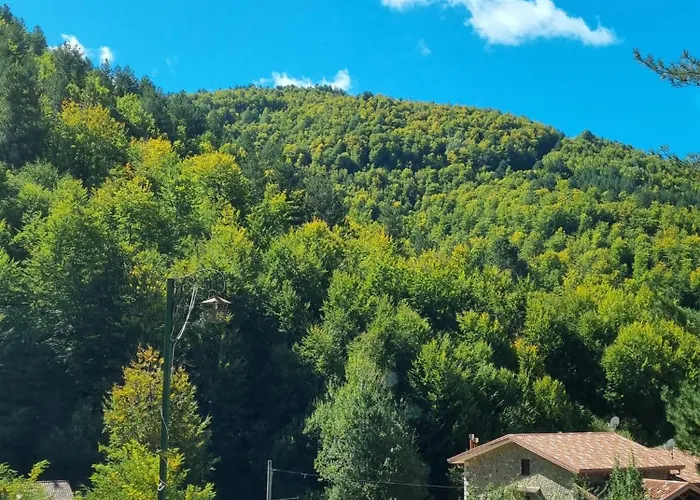 Casa In Sila - Villaggio Palumbo